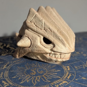 Replica Groudon Skull 3D Print