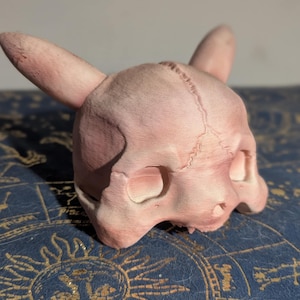 Replica Pika Skull 3D Print