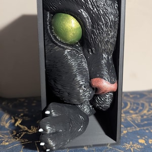 Cat&#39;s Curiosity Book Nook