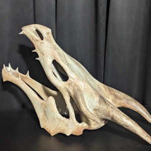 Replica Dragon Skull 3D Print