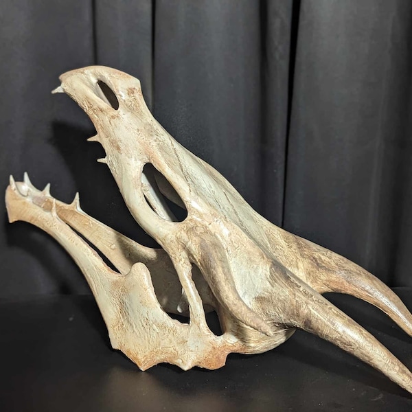 Replica Dragon Skull 3D Print