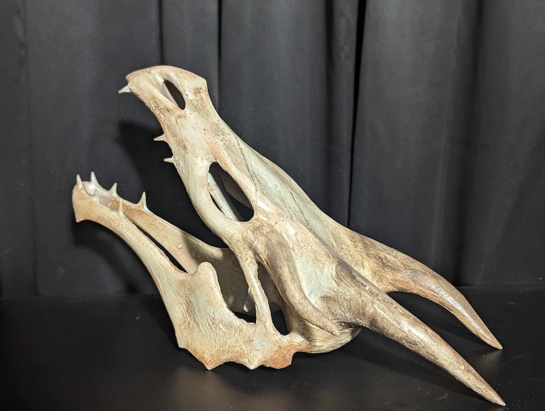 Replica Dragon Skull 3D Print