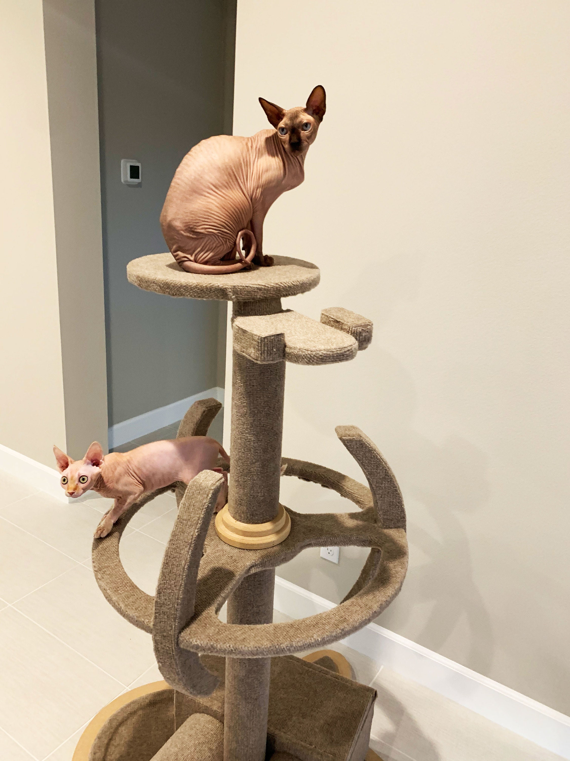 Star Trek Enterprise 1701D DS9 Wood Cat Tower Cat Climbing Tree