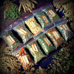 Set  10 Magickal Herbs Witch, Dried Witch Herbs, Magic Herbs, Wiccan Green Witchcraft, start your magical or herbalism practice ,15-20 grams