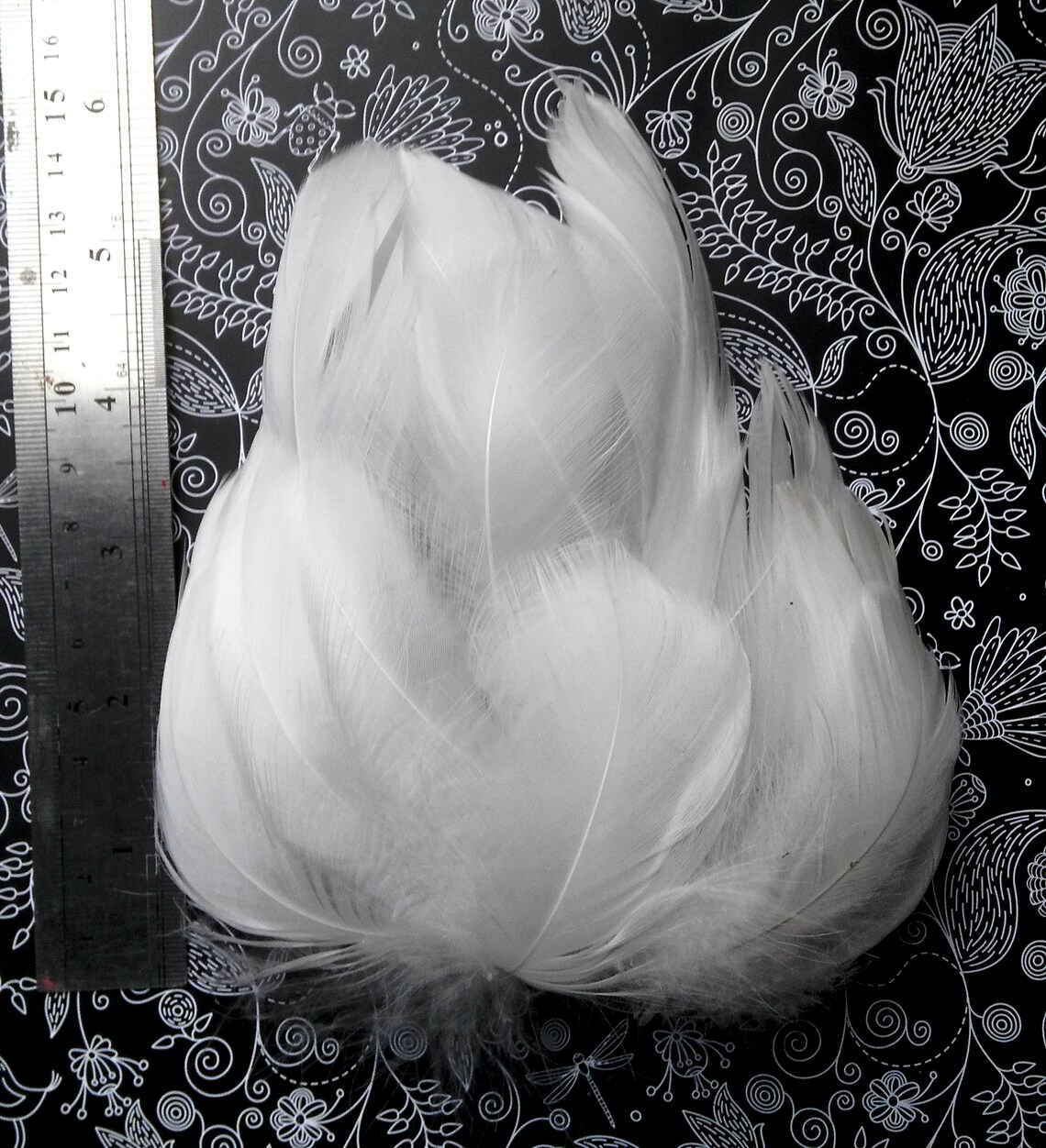 100 pieces.Wholesale White Goose Feathers DIY Natural Feathers Etsy