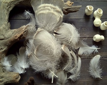 100 pièces. Plumes de canard en gros bricolage plumes naturelles non peintes projets matériaux coiffure costume de carnaval décor plume 12-5 cm