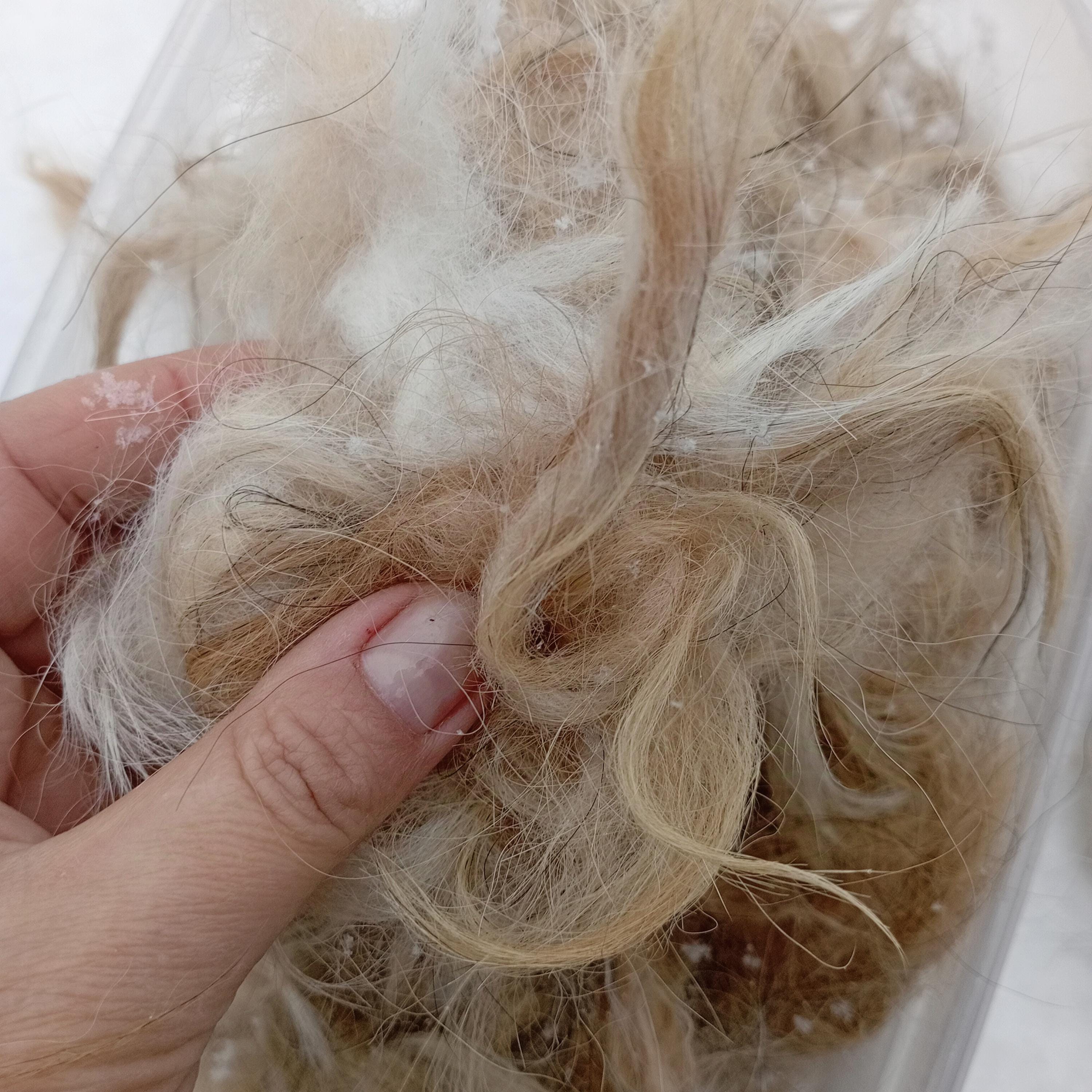 real dog hair, for crafts, 20 grams
