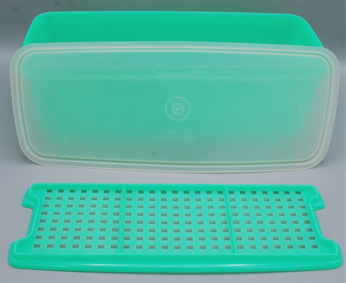 Tupperware Easy Crisp Container with Grid Insert and Damaged Etsy