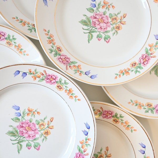 Ensemble de 6 assiettes plates, motif fleuri, ancienne,française, de Céranord Saint Amand, modele Gipsy.