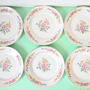 Lot 2- Set of 6 flat plates, floral pattern, old, French, Céranord Saint Amand, Gipsy