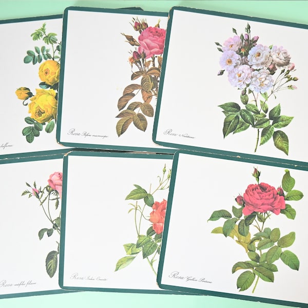 Set of 6 placemats, breakfast, tea, flowers, vintage, Schuberth Tamat Series