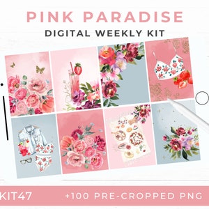 Adesivi estivi digitali, Picnic alle fragole, Kit di pianificazione digitale, PNG pre-ritagliati per GoodNotes, Adesivi per diario, KIT47