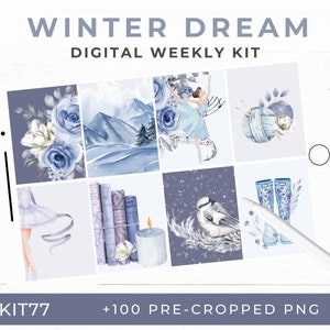 Winter Digital Stickers, Winter Journal, January Kit, PNG Stickers for Goodnotes KIT77