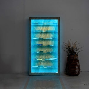 Knife led display case, Knife lighted shelf, Display shelf glass doors, Knife Led Shelf, Led Display for collectibles, Shelf with light