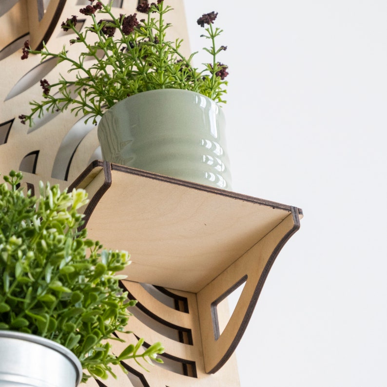 May include: A wooden wall shelf with a light brown finish. The shelf has a curved design and is made of plywood. A small green ceramic planter with a green plant is sitting on the shelf.