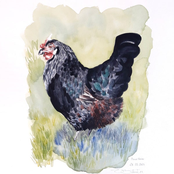 Aquarelle originale "Poule noire", oiseau, animal - Original watercolor painting "Black hen" bird, animal