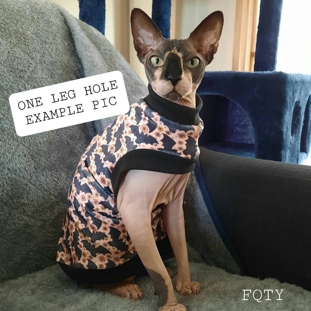 Desert Boho Rainbows. Sphynx Clothing Cat Dog Pet Jumper Etsy Australia