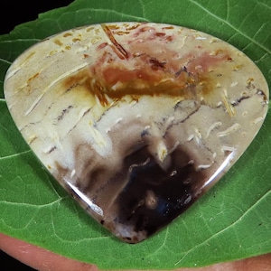 Natural Petrified Palm Wood Fossil Agate Cabochon Gemstone , Indonesian Petrified Fossil Gemstone for jewelry making, Gift for her (NM19)