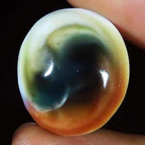 May include: A smooth, round, polished cabochon gemstone featuring a swirling colour pattern. The surface displays a blend of deep forest green, dark charcoal, and warm amber-orange tones, transitioning into a creamy white border.