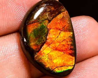 13.80 Cts Ammolite Gemstone 100% Natural Multi Fire Canadian Ammolite Cabochon 14x21x4 mm Ammolite Loose Gemstone