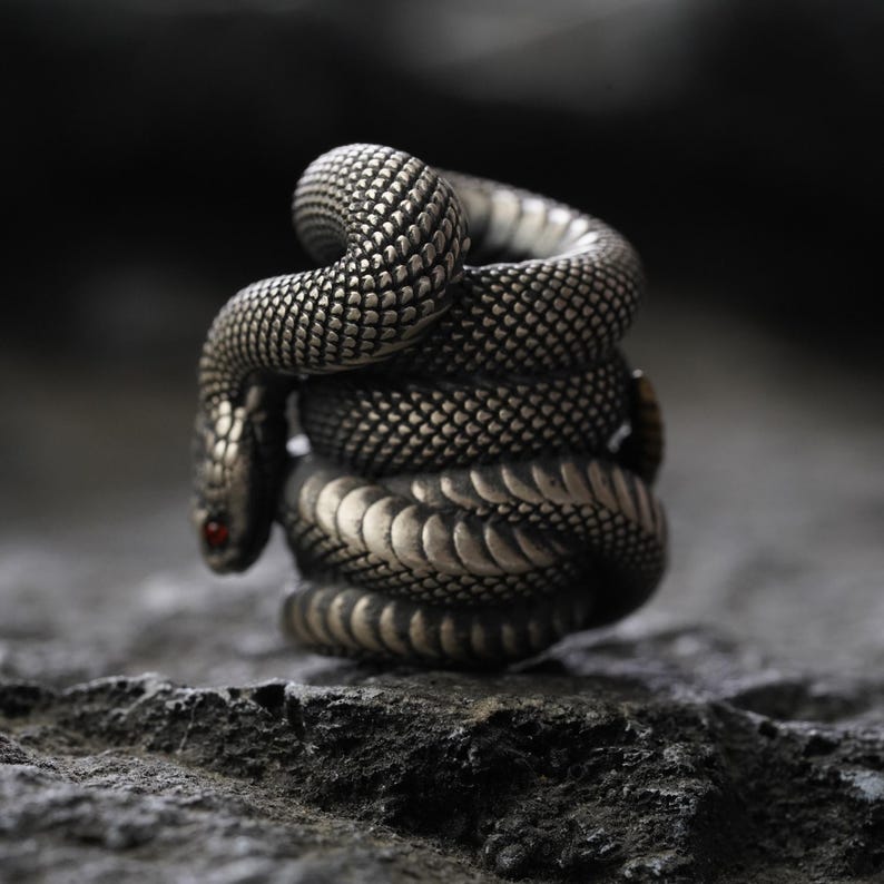 May include: A silver-toned ring in the shape of a coiled snake. The snake's body is textured with scales, and it has a red gemstone eye. The ring is set against a dark, textured background, highlighting the intricate details of the jewelry.