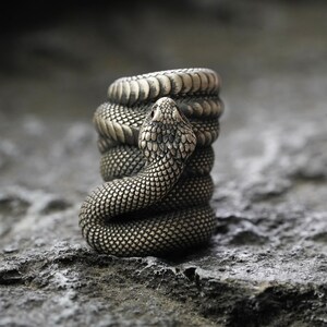 May include: A detailed, bronze-colored ring shaped like a coiled snake. The snake's head is raised, with a textured pattern and small red eyes. The ring is set against a textured, gray background.