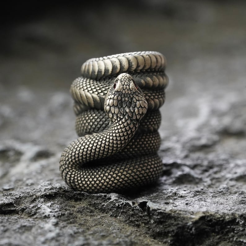 May include: A detailed, bronze-colored ring shaped like a coiled snake. The snake's head is raised, with a textured pattern and small red eyes. The ring is set against a textured, gray background.