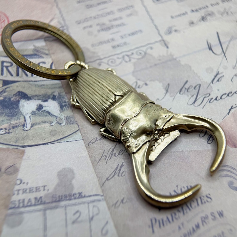 Stag Beetle Bottle Opener Solid Brass Keychain EDC Charm - Etsy