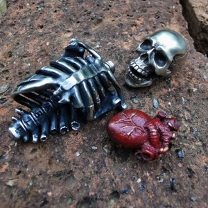 Puede incluir: Una caja torácica plateada, una calavera plateada con la boca abierta y un corazón anatómico rojo. Los objetos están sobre una superficie marrón texturizada.