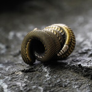 May include: A coiled brass snake figurine with detailed scales and a textured surface. The snake is a mix of gold and bronze tones, creating a realistic appearance. The snake is resting on a gray stone surface.