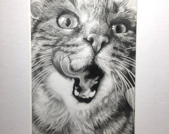 Tabby Cat original B&W hand drawn portrait