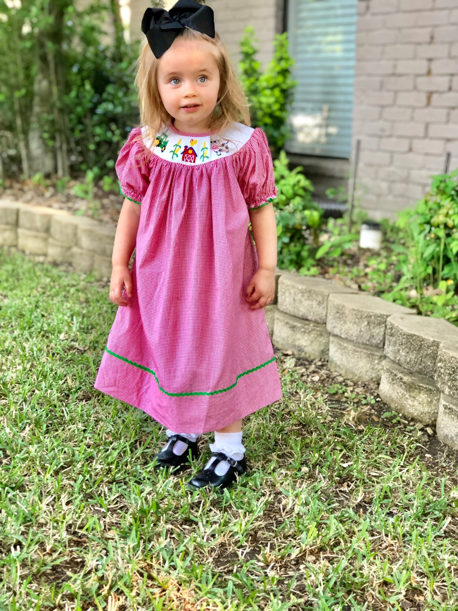farm smocked dress