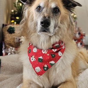 Christmas Dog Bandana SNAP ON