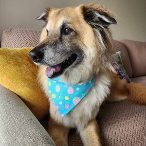 Dog Bandana Easter SNAP ON
