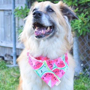 Dog Bandana Summer Watermelon SNAP ON