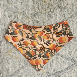 Dog Bandana Summer Peach SNAP ON