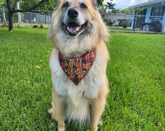 Dog Bandana Fall Vibes SNAP ON