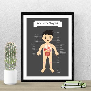 The Body Organs, for Kids Anatomy, Human Body Kids Printable Poster ...