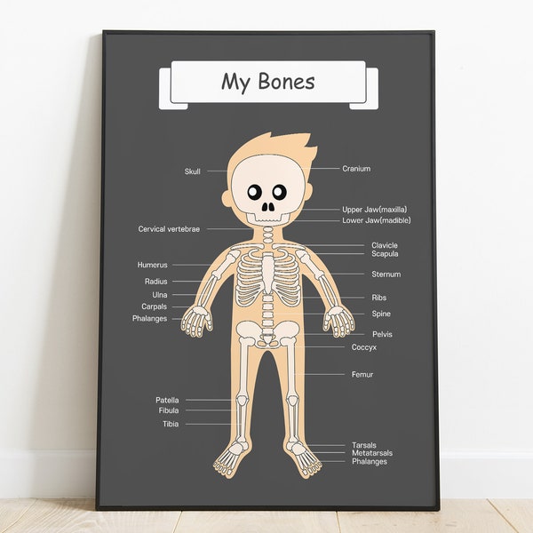 The Bones, For kids skeleton anatomy, human body printable poster, Kindergarten Activity, Montessori card