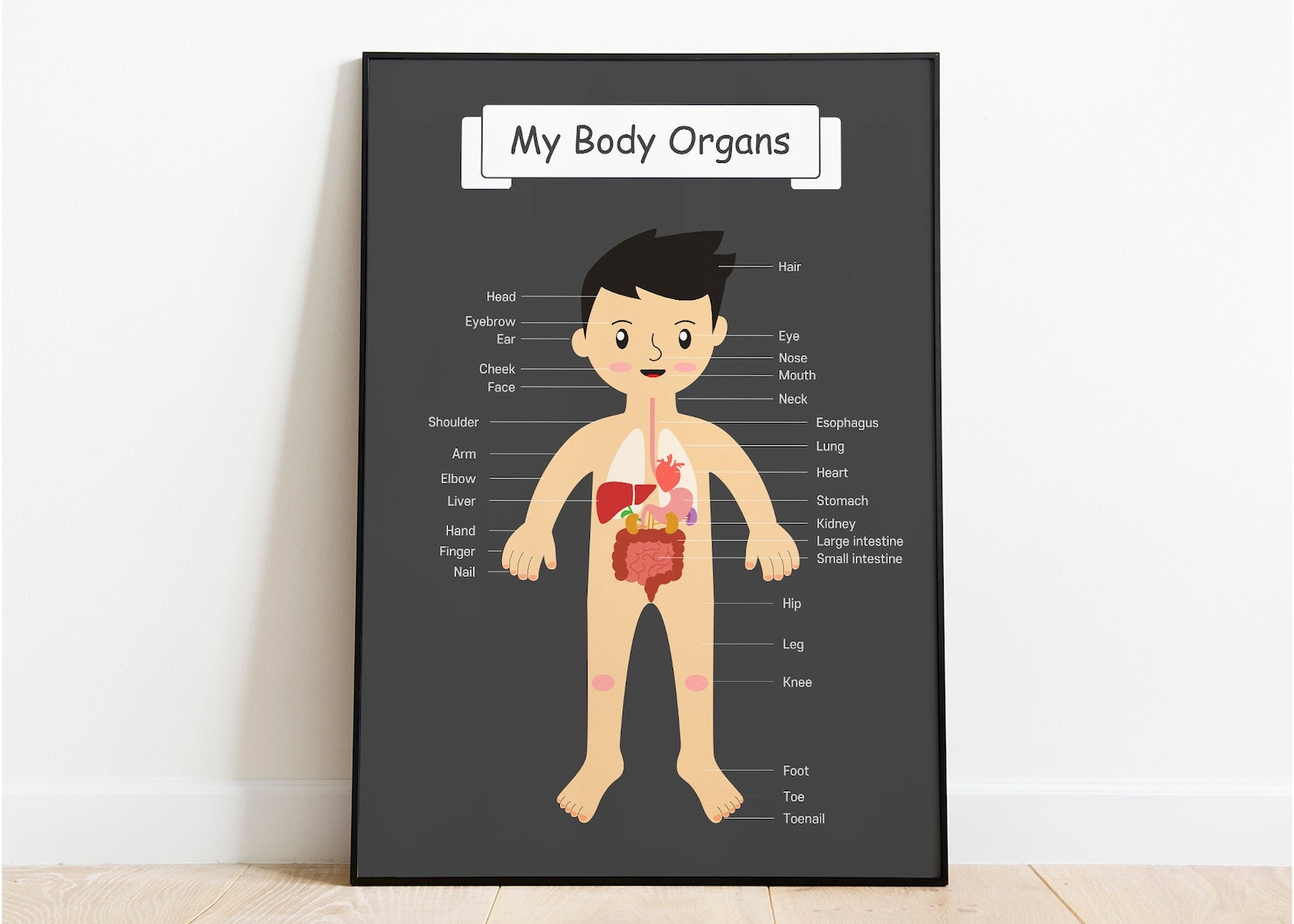 The Body Organs, for Kids Anatomy, Human Body Kids Printable Poster ...