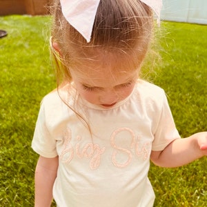BIG BRO SIS Announcement Tee Hand Embroidered Baby Announcement Sibling Announcement Shirt Family Matching image 4