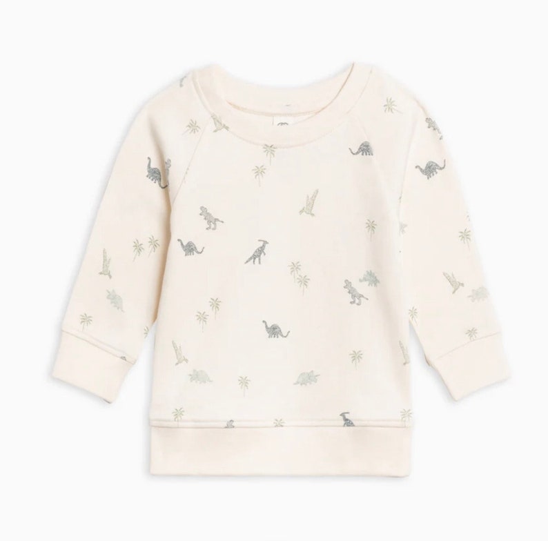 KID'S DINO SWEATER Custom Hand Embroidered Felt Name Sweatshirt Baby and Toddler Personalized Dinosaur Shirt Custom Name Clothing image 6