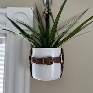 May include: A white ceramic planter with a brown leather strap and buckle hanging from a hook on a wall. A green plant with long leaves is growing in the planter.