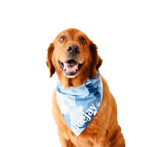May include: A golden retriever dog wearing a blue bandana with a cloud pattern and the name "Beejay" printed on it. The dog is smiling with its mouth open, showing its pink tongue. The background is plain white.