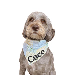 May include: A dog wearing a blue and yellow floral patterned bandana with the name "Coco" printed in black. The dog has brown eyes and gray and brown fur, set against a white background.