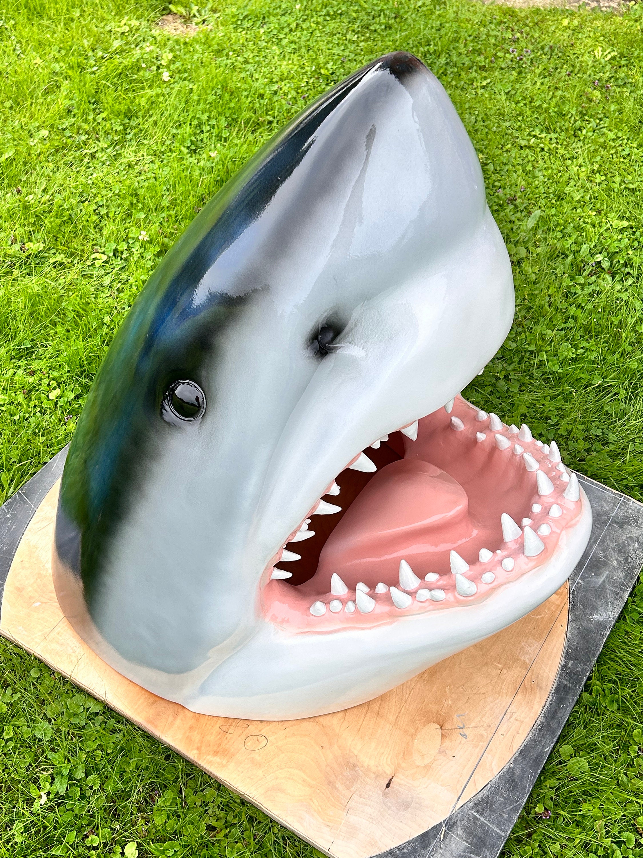 Shark Head Perfect for a Gift Made in Europe Perfect Decoration for Your  Home -  Norway