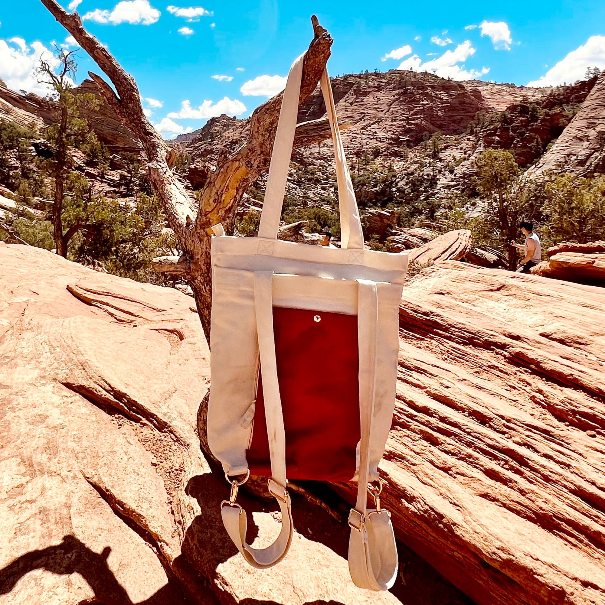 Grocery Backpack Etsy