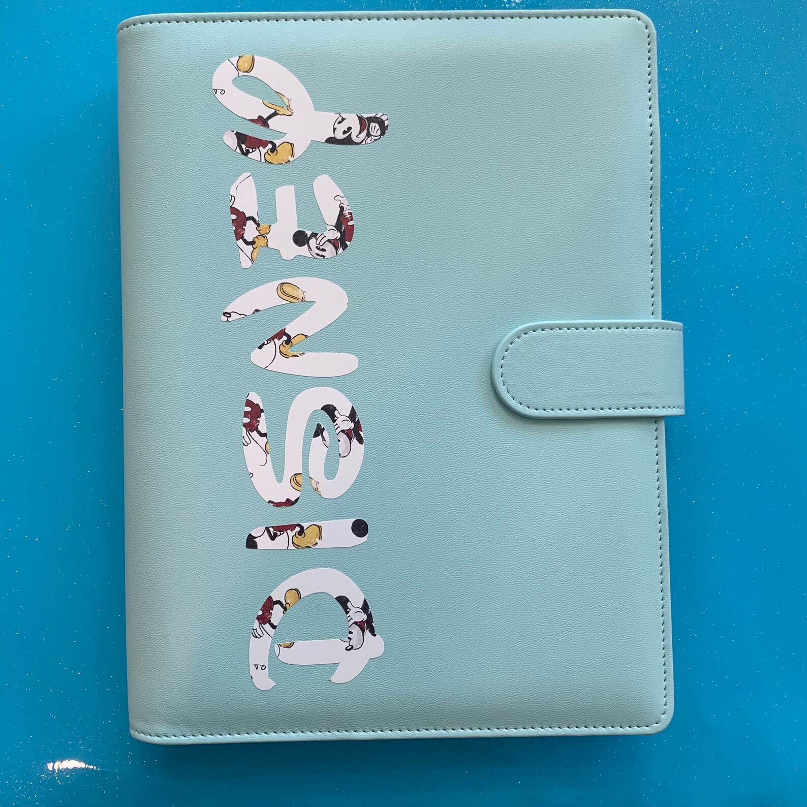 Disney Budget Binder A5 Etsy