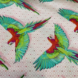 Macaw Ya Later | Dragonfruit | Daydreamer | Tula Pink | FQ