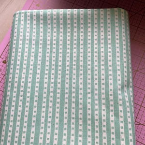 Può includere: Tessuto piegato con un motivo ripetuto di strisce verticali. Le strisce alternano tra un verde acqua chiaro e il bianco. Le strisce bianche sono punteggiate da piccoli quadrati verde acqua. Adatto per progetti di cucito o artigianato.
